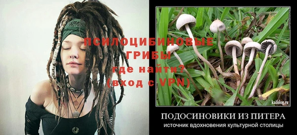 молекула духа Балабаново