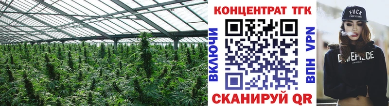 hydra   Горнозаводск  Дистиллят ТГК THC oil 