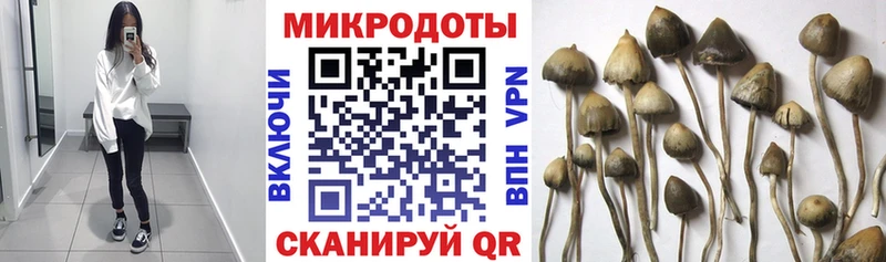 Псилоцибиновые грибы мицелий  купить   даркнет официальный сайт  Горнозаводск 